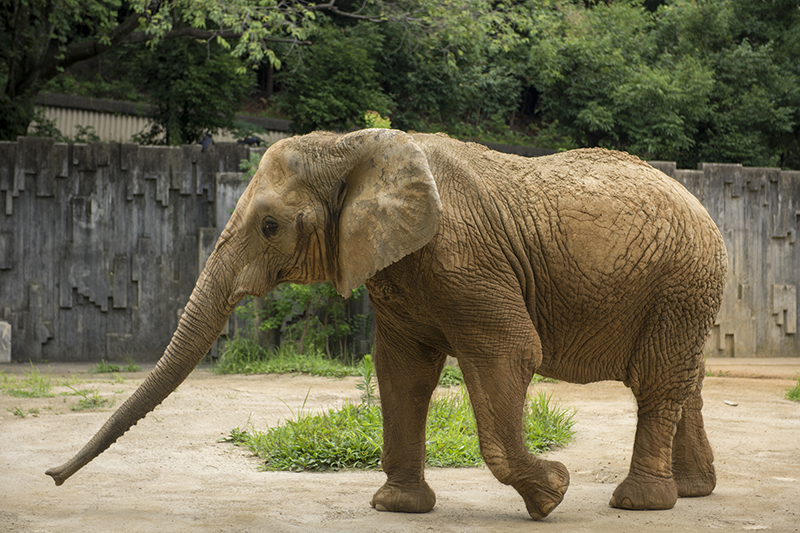 動物園